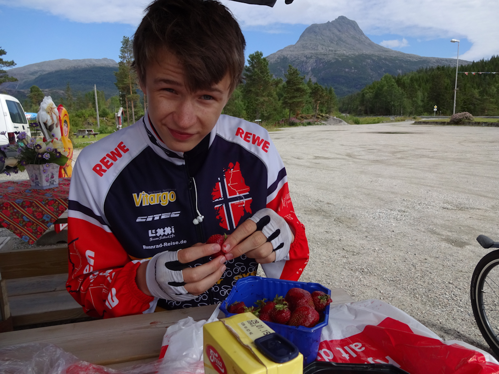 Endbeeren mit Vanillesauce – ein sicherer Gewinner.