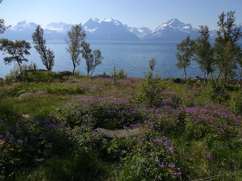 Atemberaubender Blick auf die Lyngsalpen